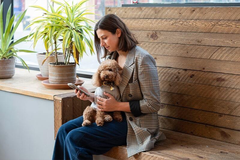  7 Bookkeeping Software Options for Solopreneurs