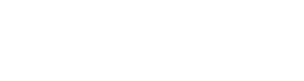 The Inventory